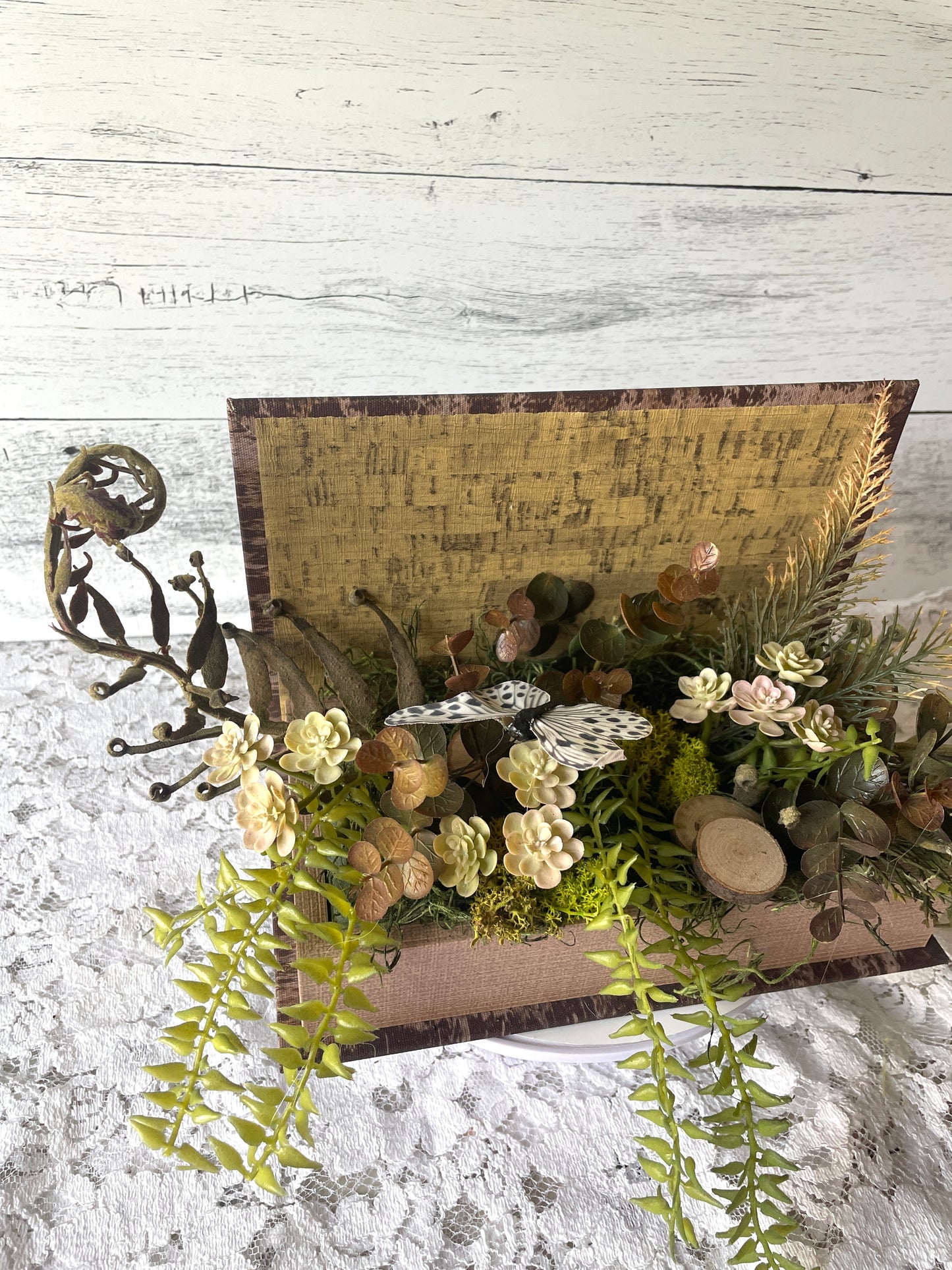 Dark Academia Succulent & Fern Arrangement – Terrarium-Inspired Box Decor