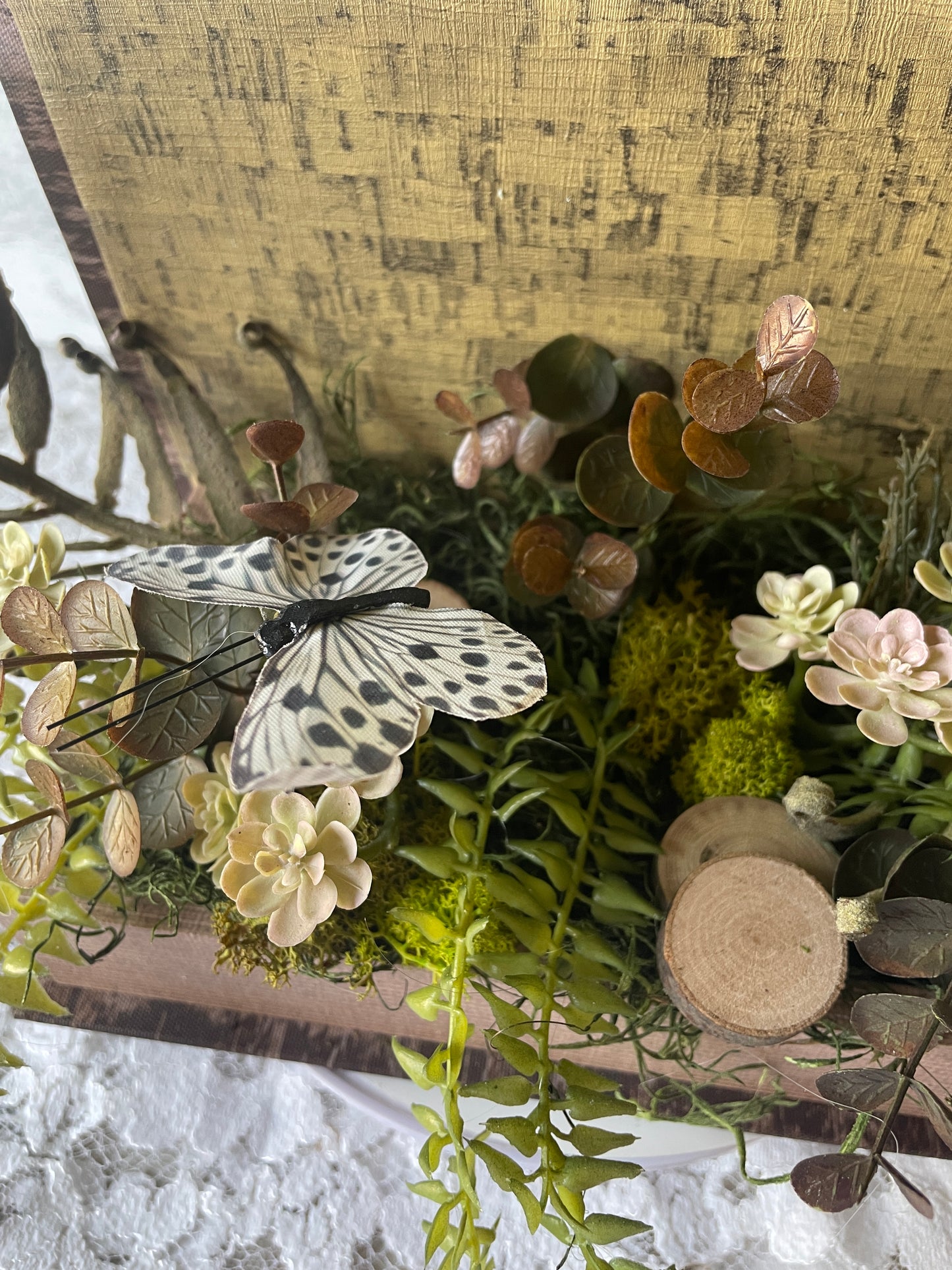 Dark Academia Succulent & Fern Arrangement – Terrarium-Inspired Box Decor