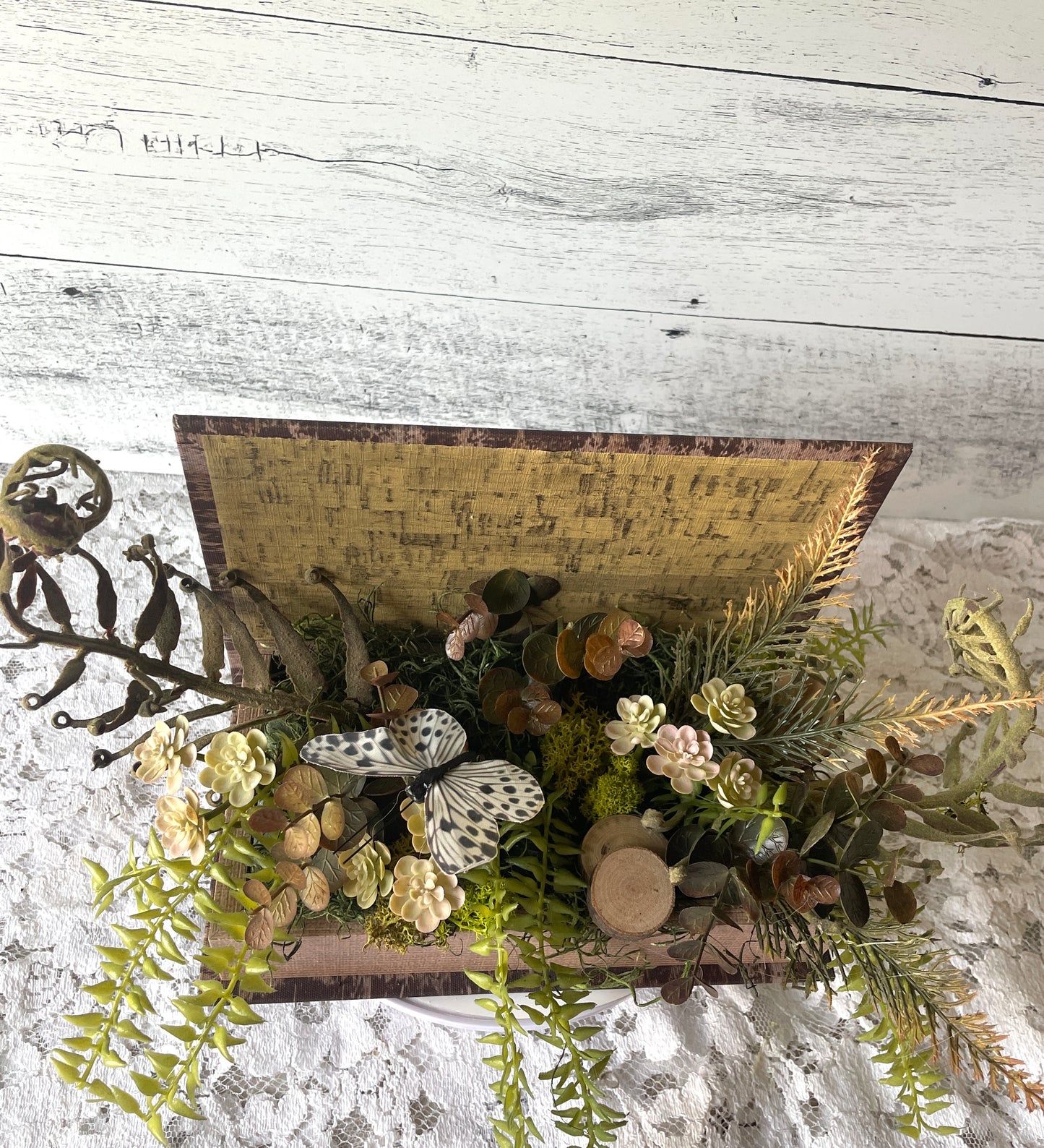 Dark Academia Succulent & Fern Arrangement – Terrarium-Inspired Box Decor