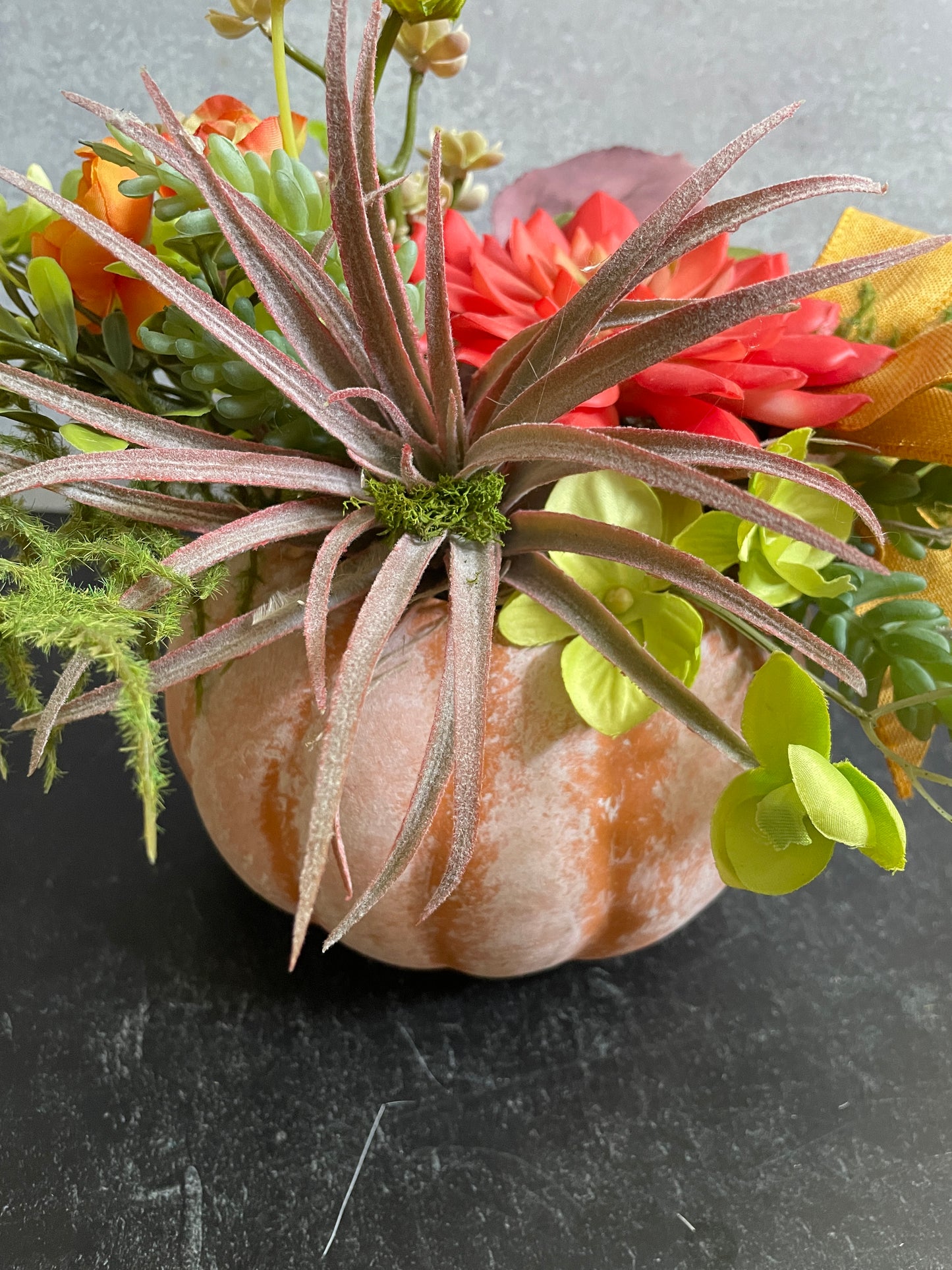 Pumpkin decor with succulents